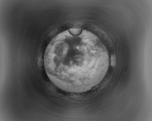 X0000086751395200705111645