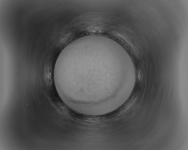 X0000086751396200705111645