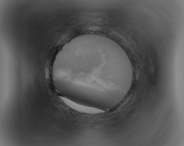 X0000086751397200705111645