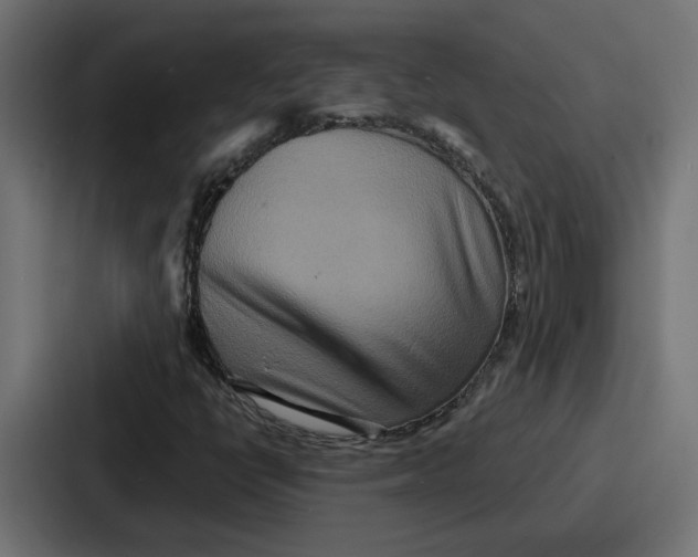 X0000086751398200705111645