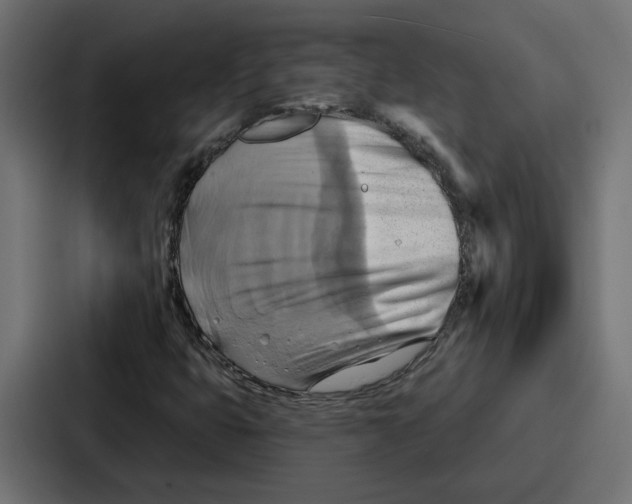 X0000086751399200705111645