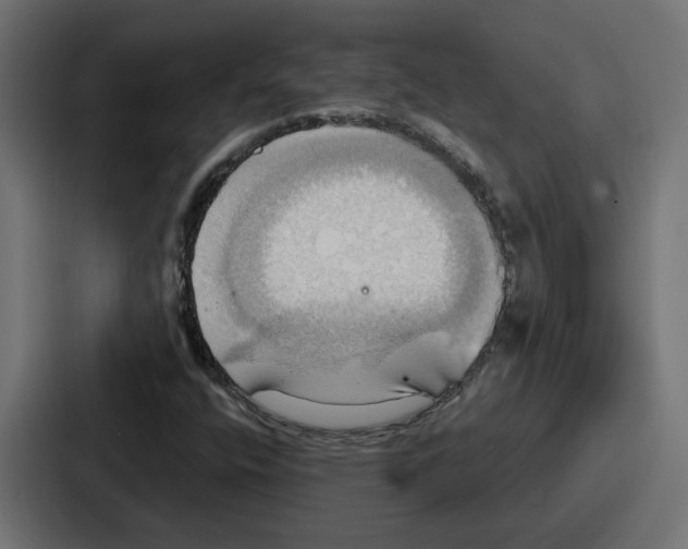 X0000086751400200705111645