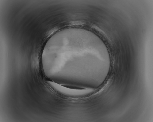 X0000086751401200705111645