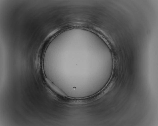 X0000086751402200705111645