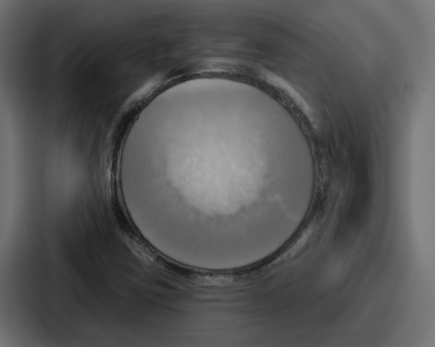 X0000086751403200705111645