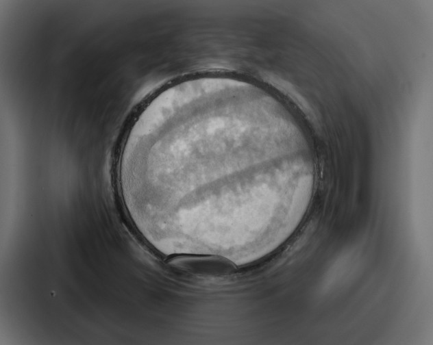 X0000086751404200705111645