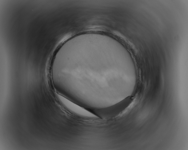 X0000086751405200705111645