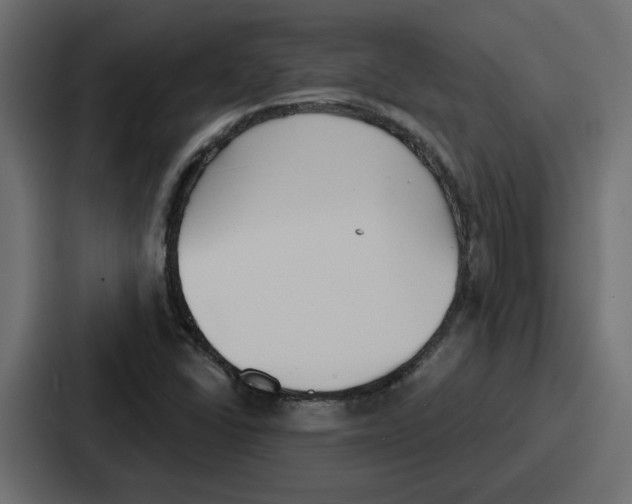 X0000086751406200705111645