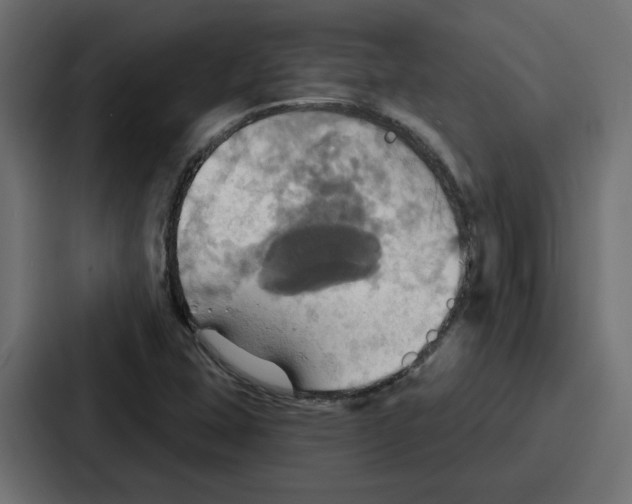 X0000086751407200705111645