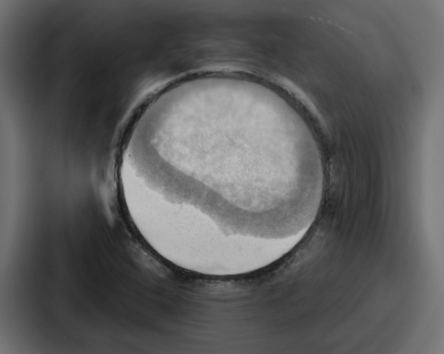 X0000086751408200705111645