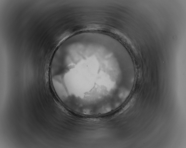 X0000086751409200705111645