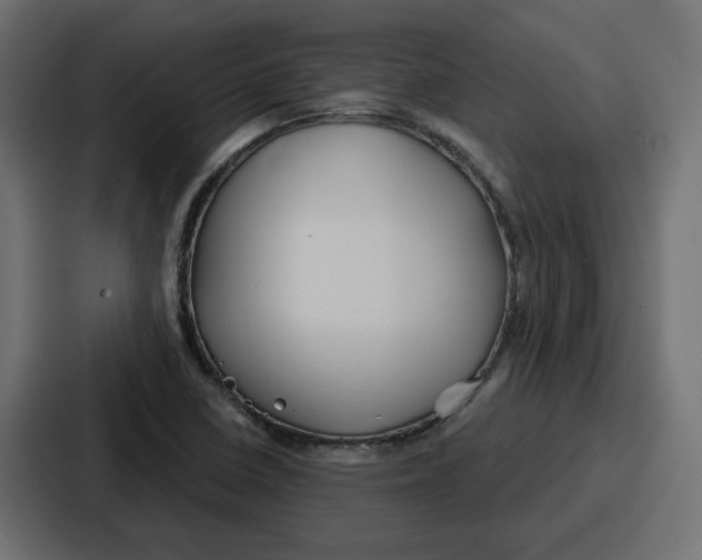 X0000086751410200705111645