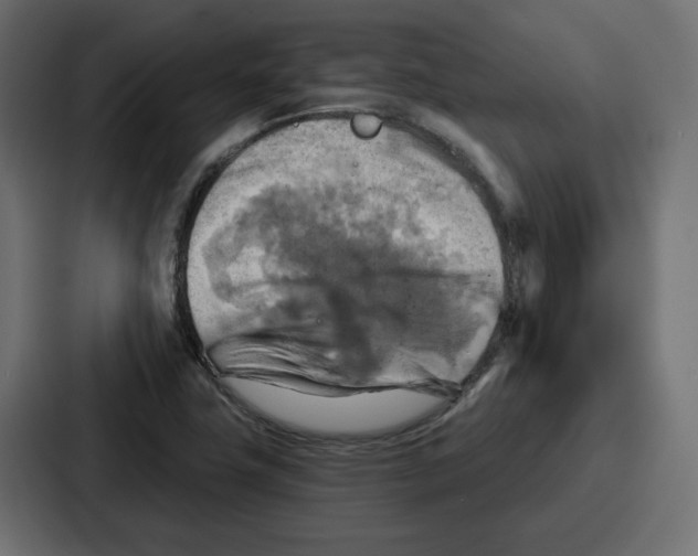 X0000086751411200705111646