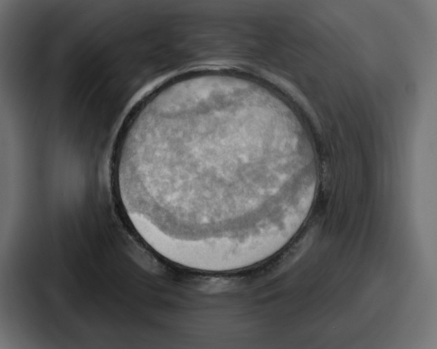 X0000086751412200705111646