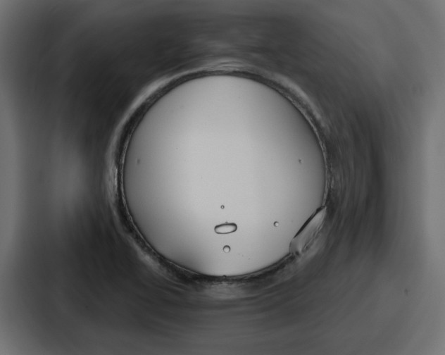 X0000086751414200705111646