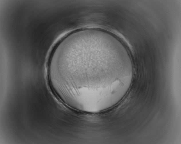 X0000086751416200705111646