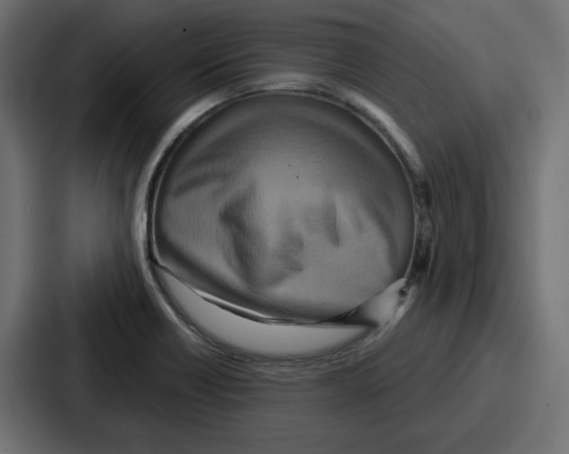 X0000086751418200705111646