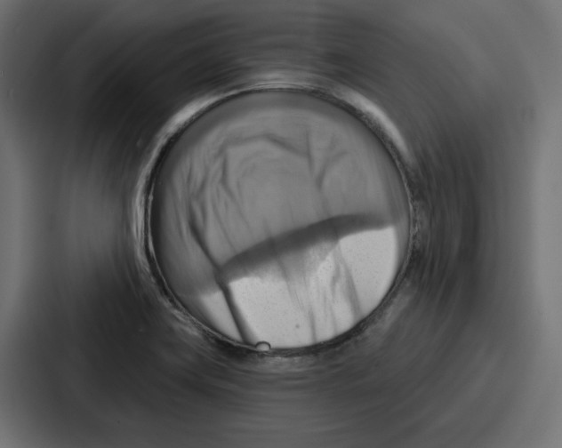 X0000086751419200705111646