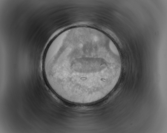 X0000086751420200705111646