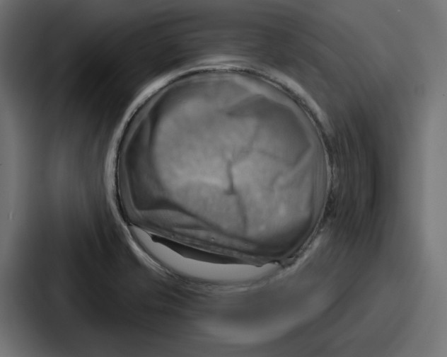 X0000086751421200705111646