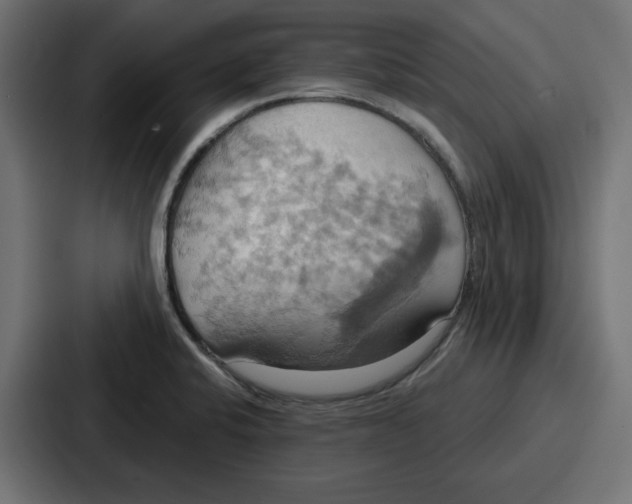 X0000086751424200705111646