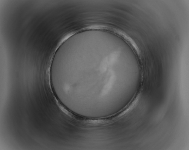 X0000086751425200705111646