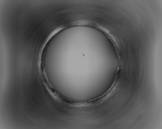 X0000086751426200705111646