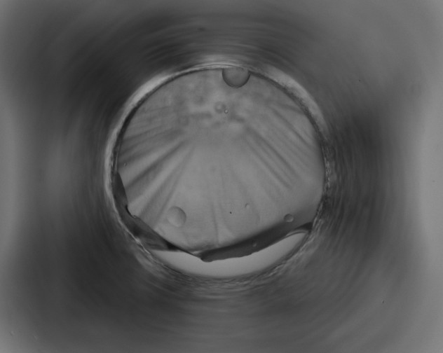 X0000086751427200705111646