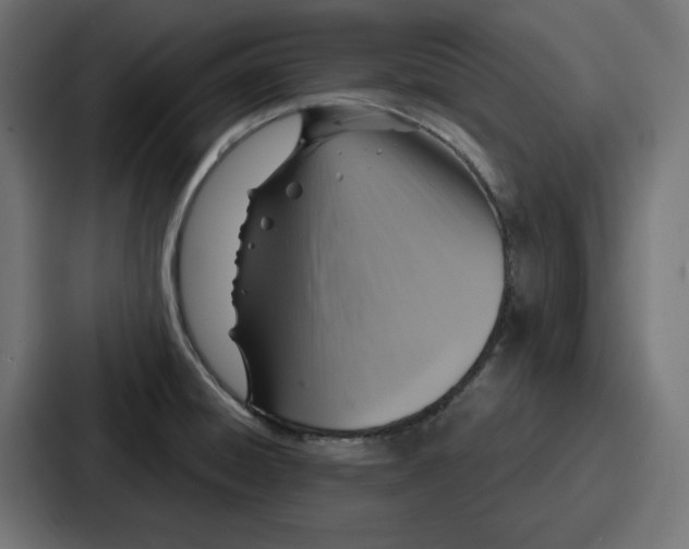 X0000086751428200705111646