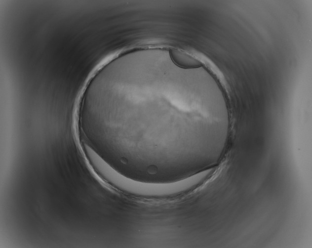 X0000086751429200705111646