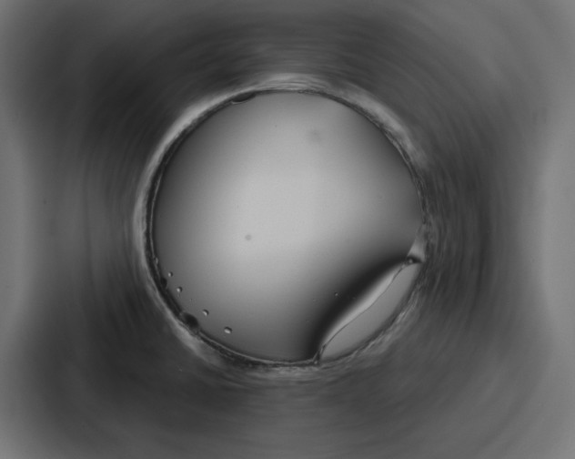 X0000086751430200705111646