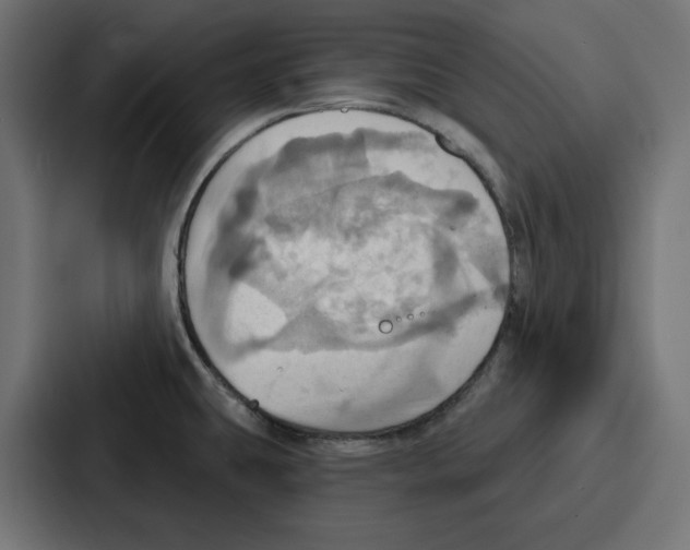 X0000086751431200705111646