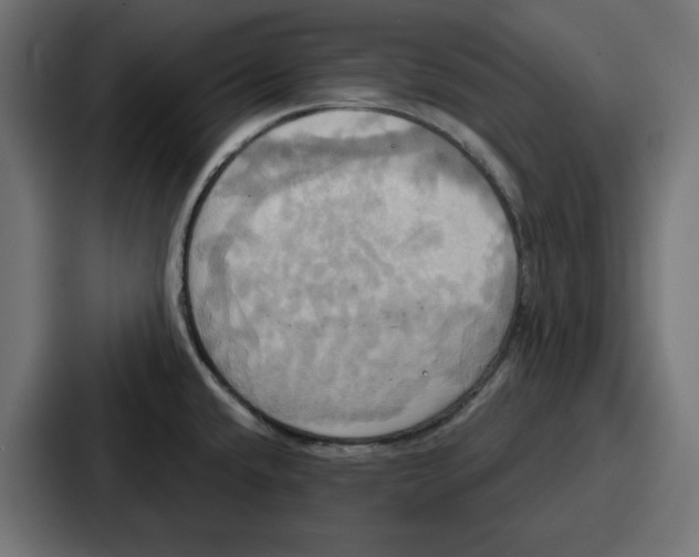 X0000086751432200705111646