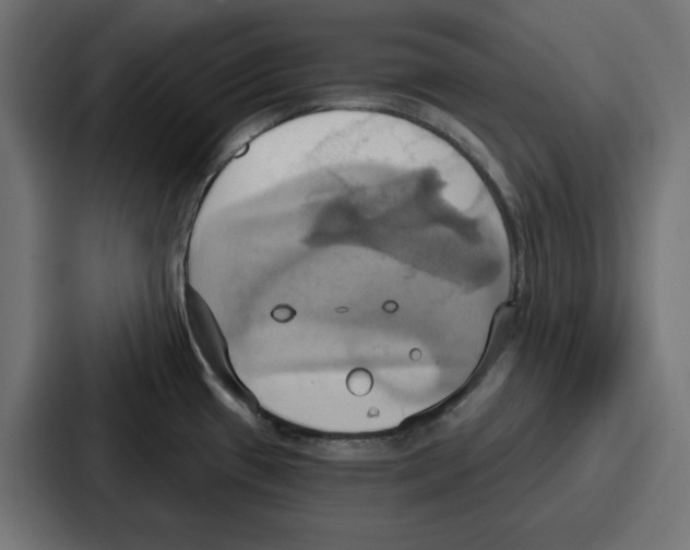 X0000086751433200705111646