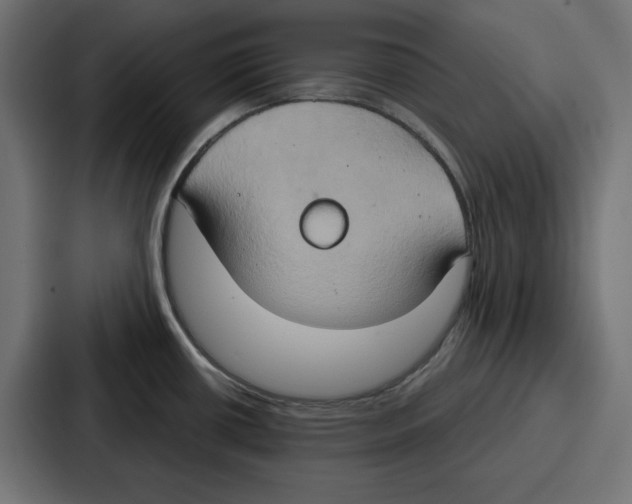 X0000086751434200705111646