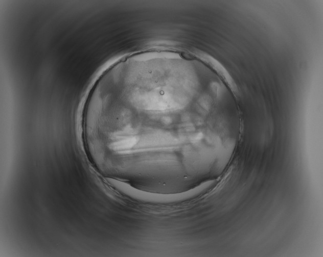 X0000086751435200705111646