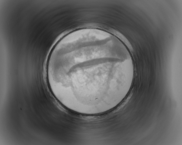 X0000086751436200705111646