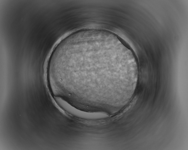 X0000086751437200705111646