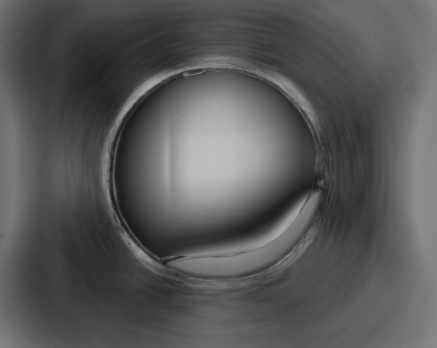 X0000086751438200705111646
