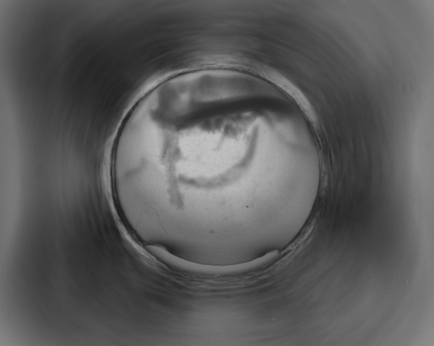 X0000086751439200705111646