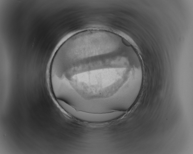 X0000086751440200705111646