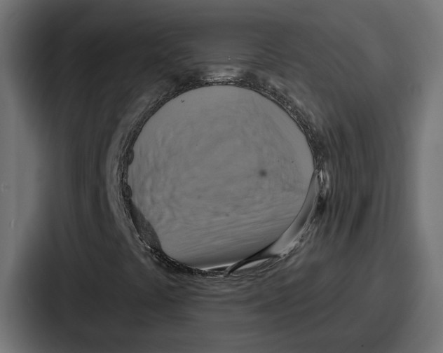 X0000086751441200705111645