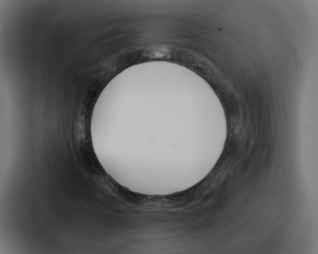 X0000086751442200705111645