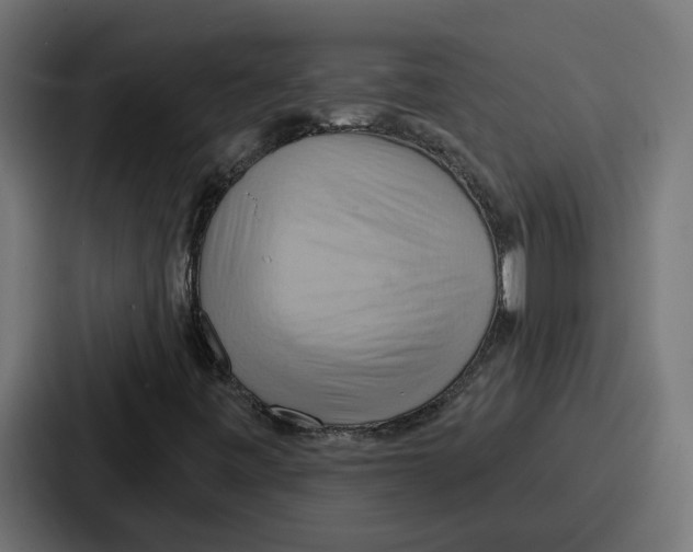 X0000086751443200705111645