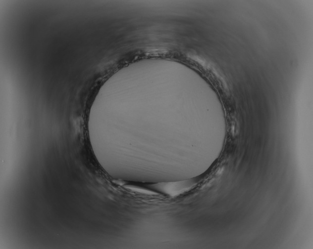 X0000086751445200705111645