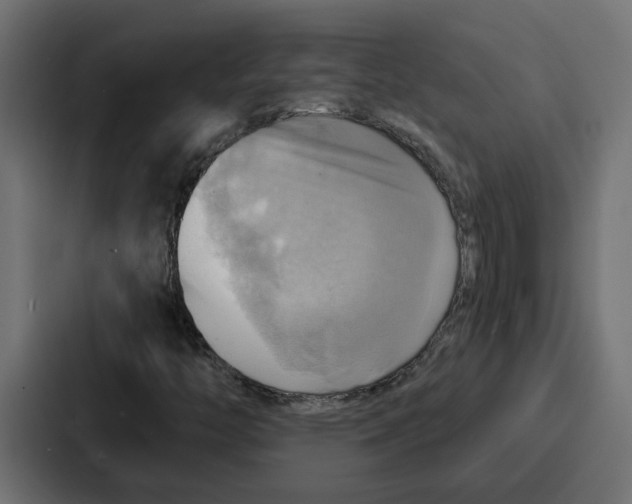 X0000086751446200705111645