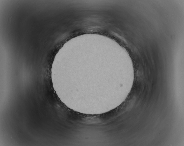 X0000086751447200705111645