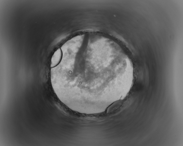 X0000086751448200705111645