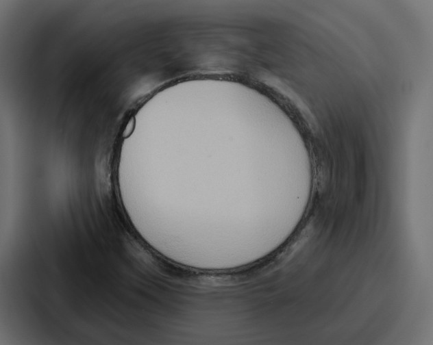 X0000086751451200705111645