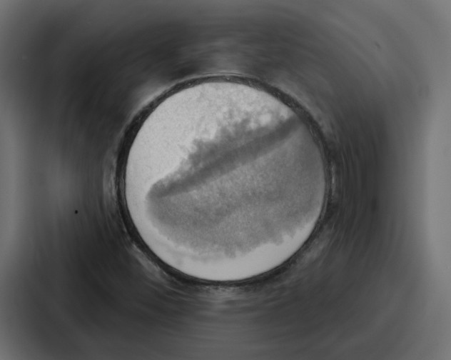 X0000086751452200705111645